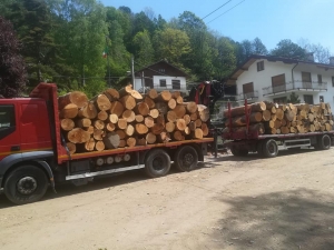 61641171_669314823491549_4306402461742006272_n (1).jpg